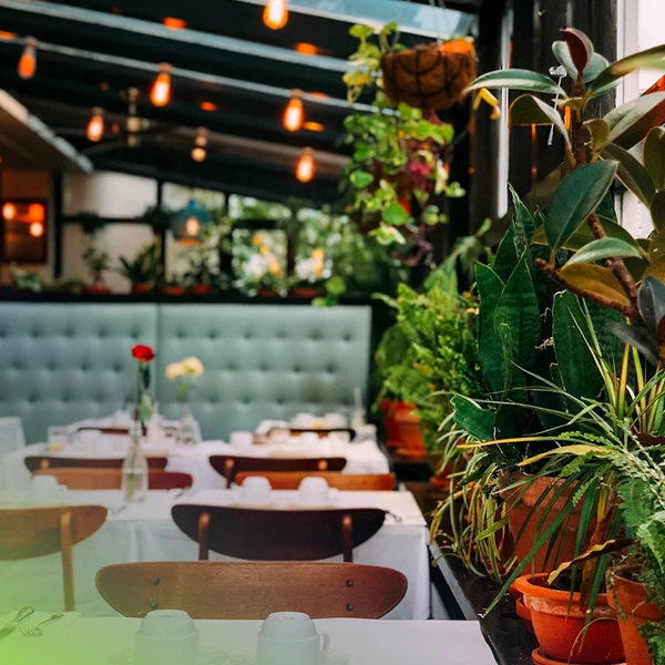 Restaurante - Sector Horeca