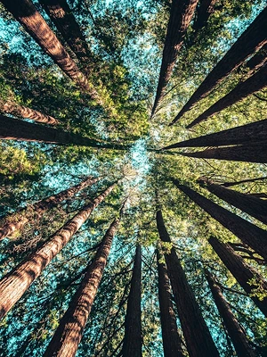 Blogs & sitios con alto contenido de sostenibilidad